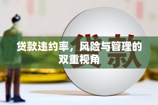 余干贷款违约率，风险与管理的双重视角