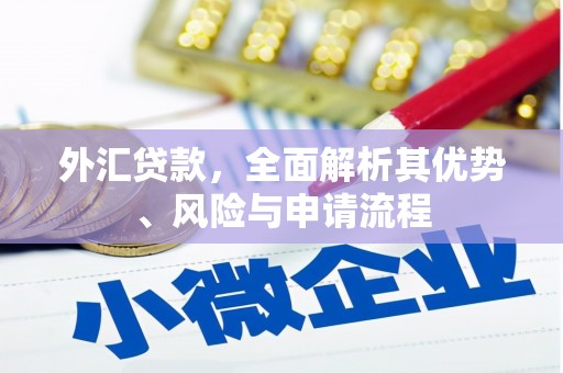 余干外汇贷款，全面解析其优势、风险与申请流程