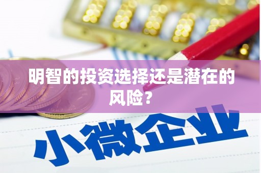 余干明智的投资选择还是潜在的风险？