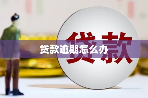 余干贷款逾期怎么办