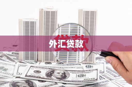 余干外汇贷款
