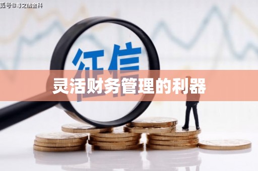 余干灵活财务管理的利器