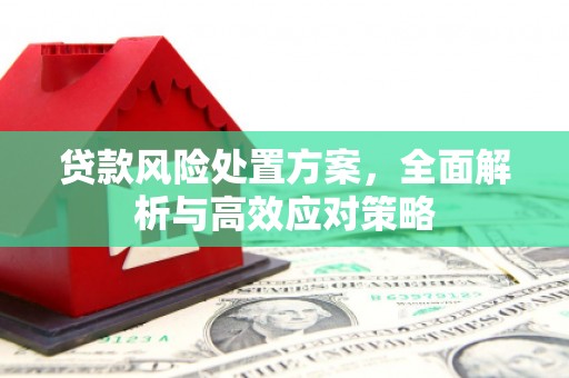 余干贷款风险处置方案，全面解析与高效应对策略