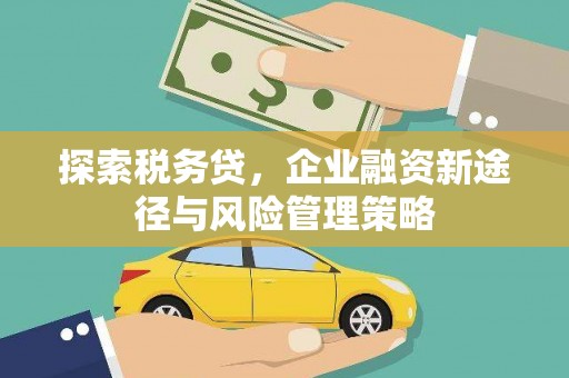 余干探索税务贷，企业融资新途径与风险管理策略