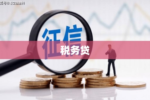 余干税务贷