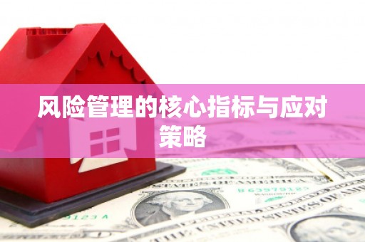 余干风险管理的核心指标与应对策略