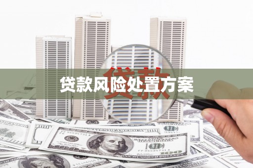 余干贷款风险处置方案