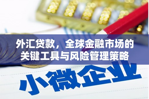 余干外汇贷款，全球金融市场的关键工具与风险管理策略