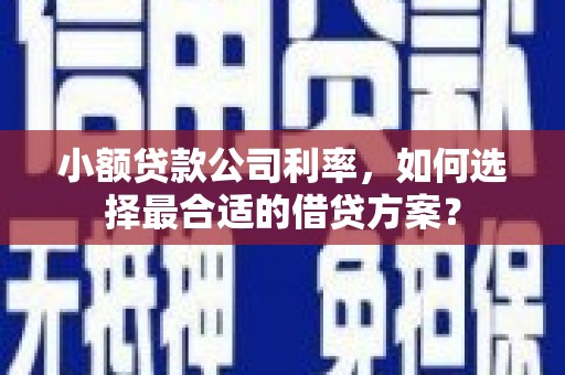 余干小额贷款公司利率，如何选择最合适的借贷方案？