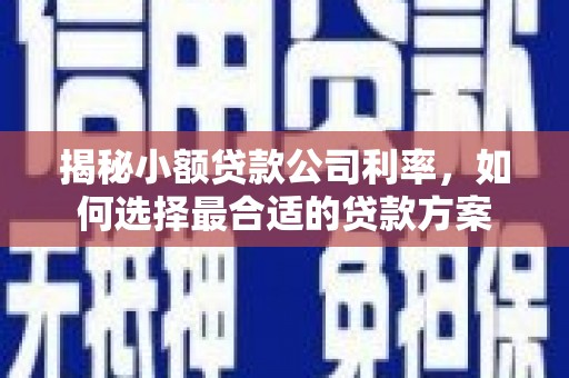 余干揭秘小额贷款公司利率，如何选择最合适的贷款方案