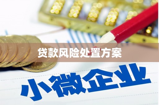余干贷款风险处置方案