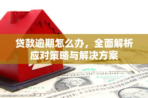 余干贷款逾期怎么办，全面解析应对策略与解决方案