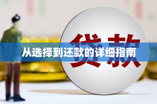 余干从选择到还款的详细指南