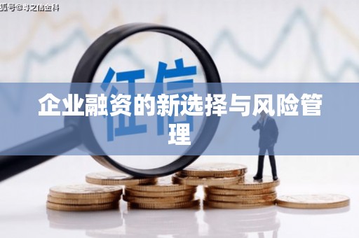 余干企业融资的新选择与风险管理
