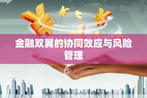 余干金融双翼的协同效应与风险管理