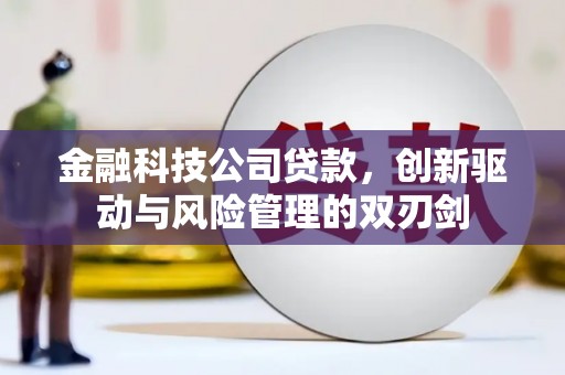 余干金融科技公司贷款，创新驱动与风险管理的双刃剑